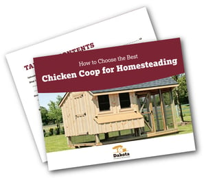 CTA_BestChickenCoopForHomesteading_Mockup