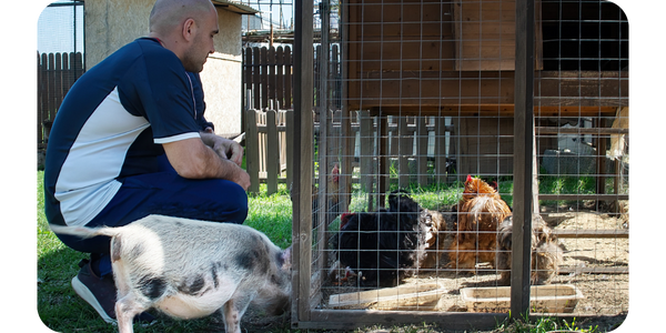 Blog_Content_Man with Chickens