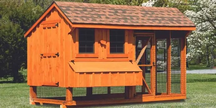Blog_Header_Should You Buy or DIY Your First Backyard Chicken Coop