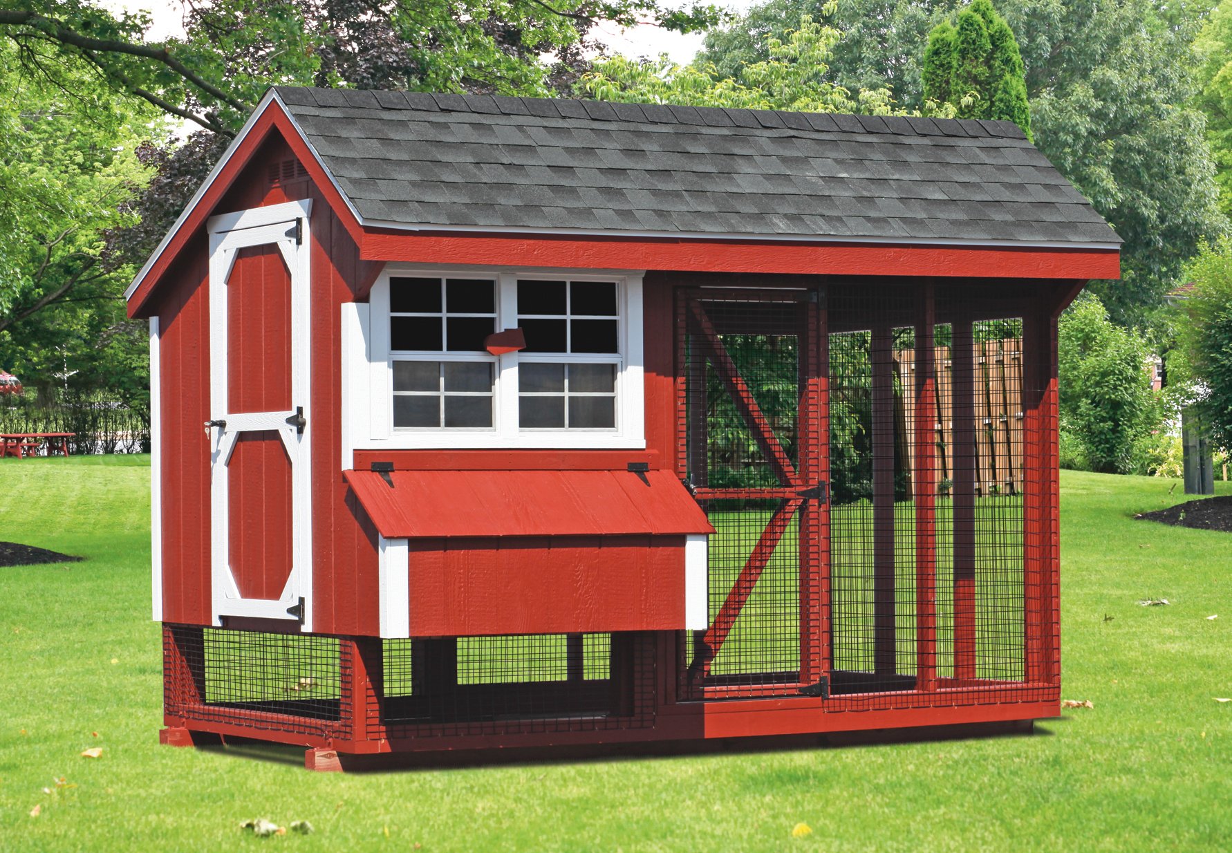 6x10 Comb Chicken Coop with Run and Roosts