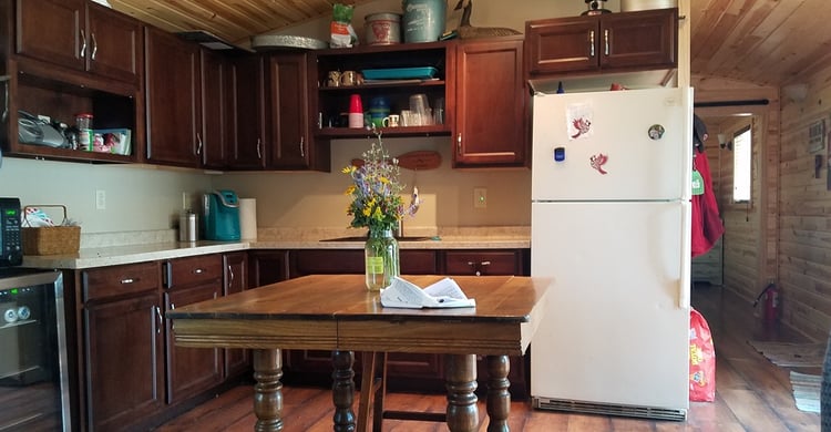 Backyard Shed Idea: Backyard Cabin-kitchen