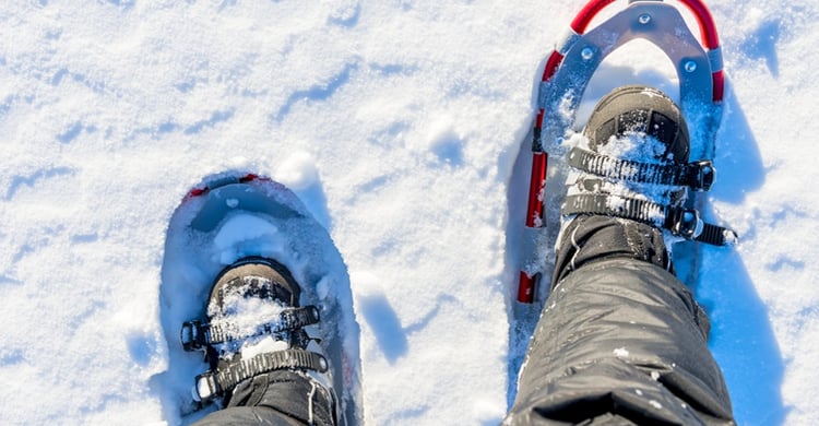 Ski Storage, Snowboard Storage Ideas, Snowshoes