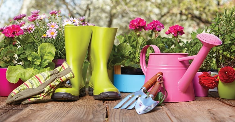 Backyard Garden Shed: The Perfect Gift For Mothers And Wives Who Love Gardening