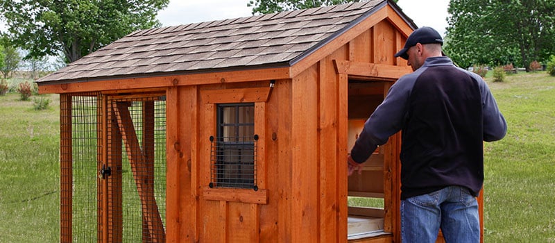 Chicken Coop Features