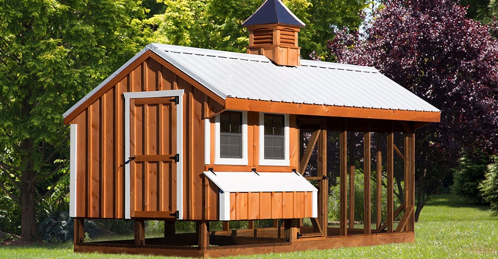 Finding the Best-fit Chicken Coop for Your Flock