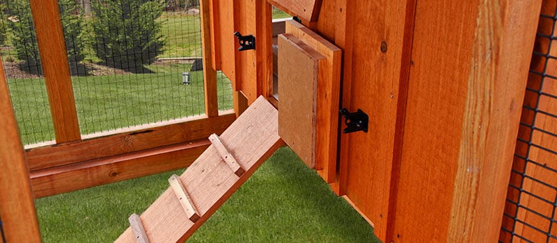 Enclosed Chicken Coop