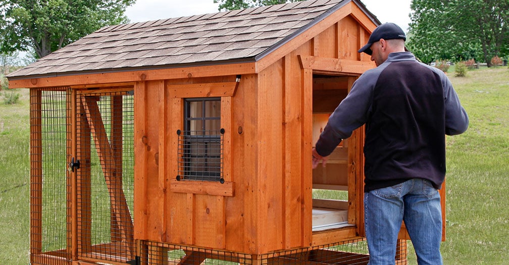 How to Clean a Chicken Coop