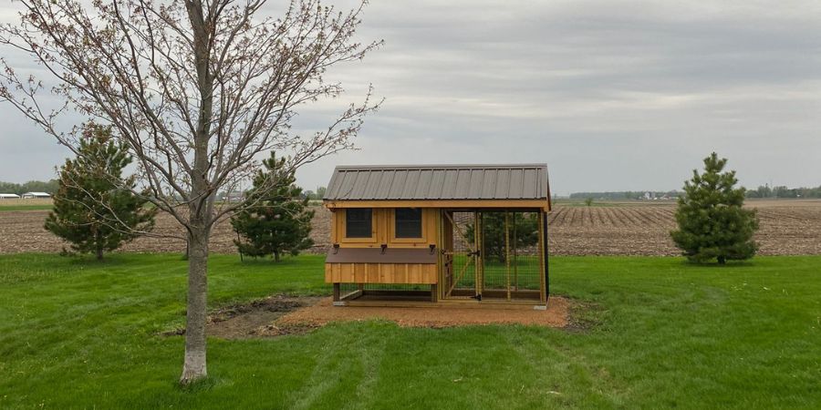Invest in Quality: Shop the Top Enclosed Chicken Coop Today
