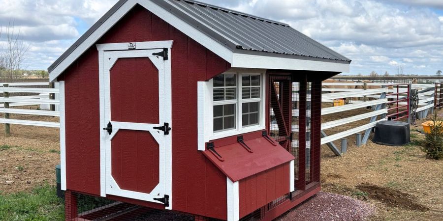 Chicken Coop Cost: Get the Best Value for Your Flock