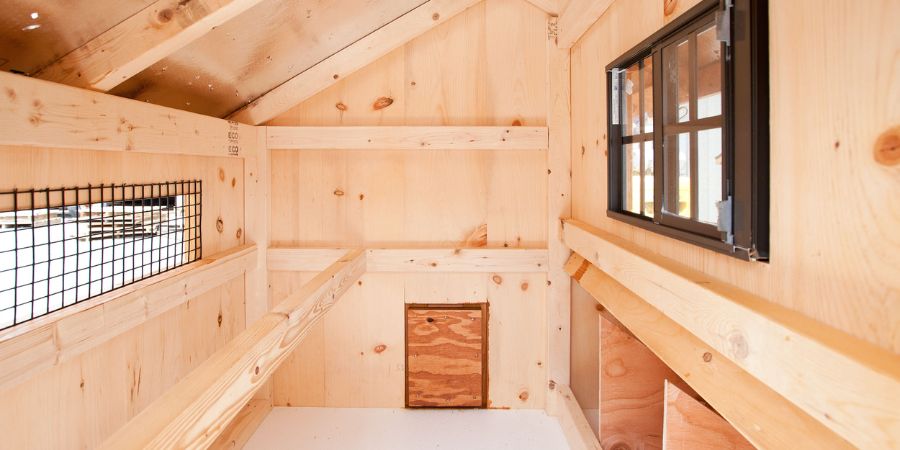 Optimal Chicken Space: How Much Room Does a Chicken Need?