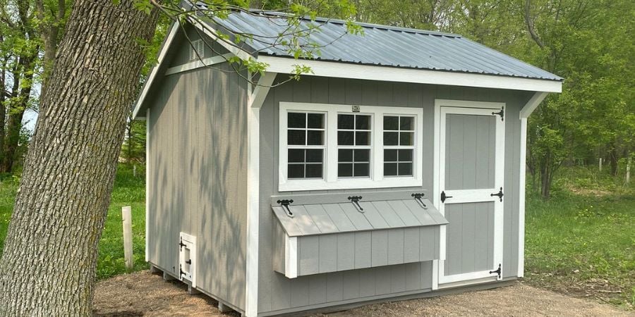 What is a Chicken Coop? Safe, Comfortable Homes for Chickens