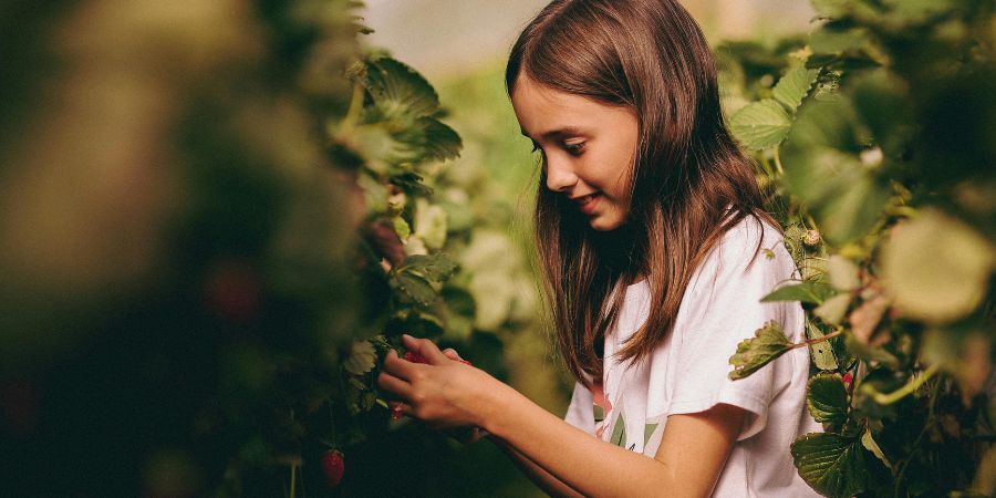 Crops in Greenhouse: Fun Ways to Teach Children Sustainability