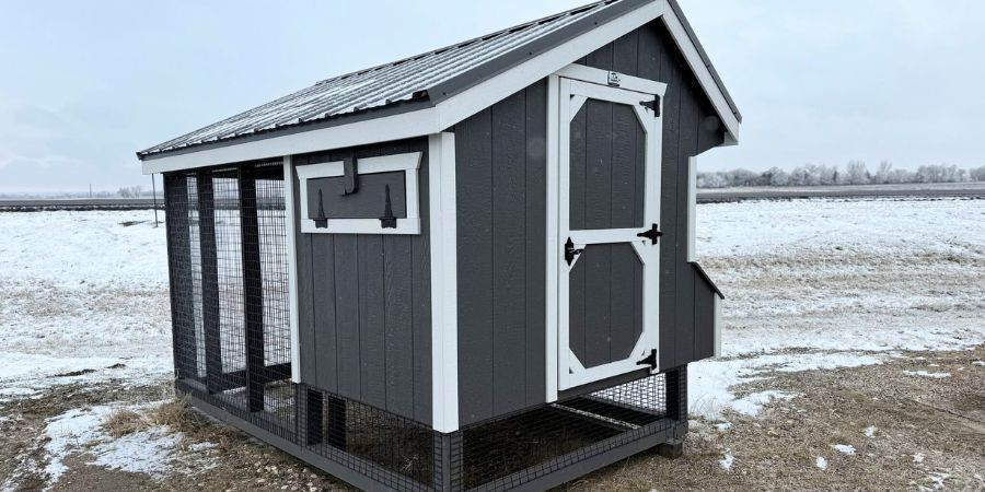 Chicken Coop Accessories That Keep Chickens Safe and Healthy
