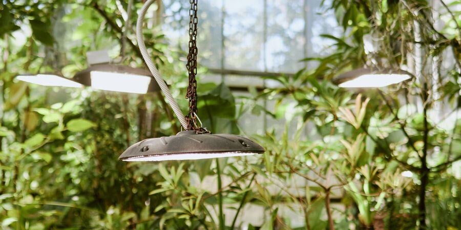 Greenhouse Lighting Strategies to Maximize Sunlight and Boost Growth