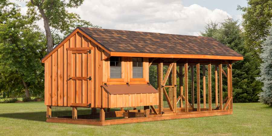 Large Chicken Coop or Small: How to Choose the Right Size