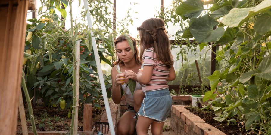 Greenhouse Garden Tips to Spark Family Bonding and Learning