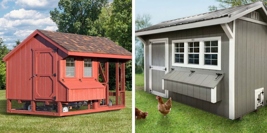 Moveable Chicken Coop or Permanent? How To Choose the Best Fit