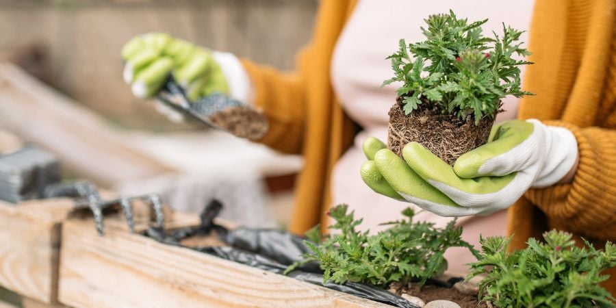 Easy DIY Greenhouse Ideas to Upgrade Your Space This Weekend