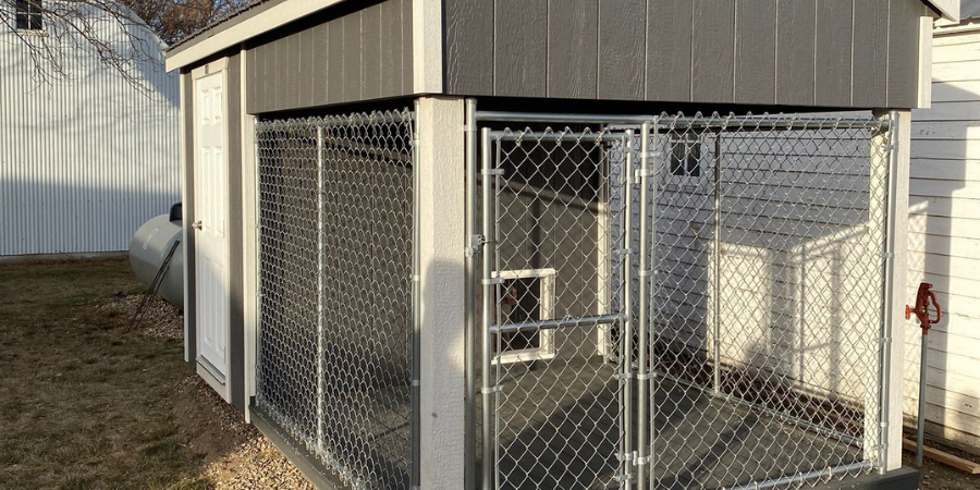 Maximize Your Dog's Comfort in Kennels