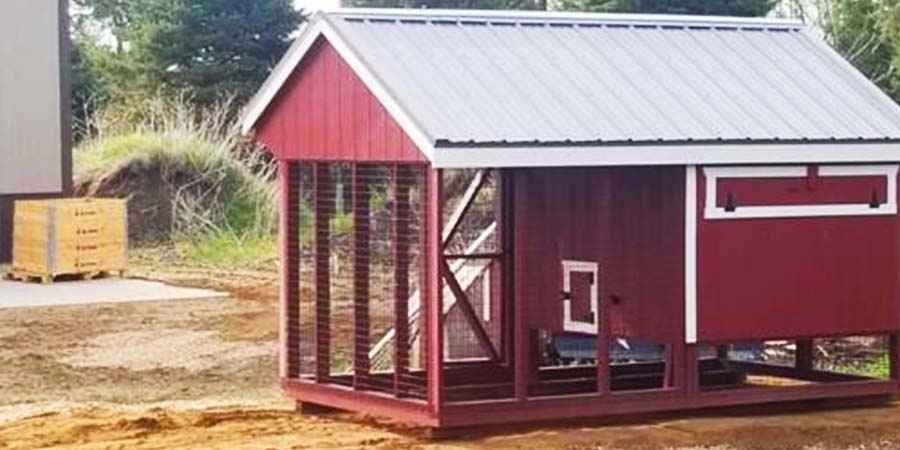 Should You Buy or DIY Your First Backyard Chicken Coop?