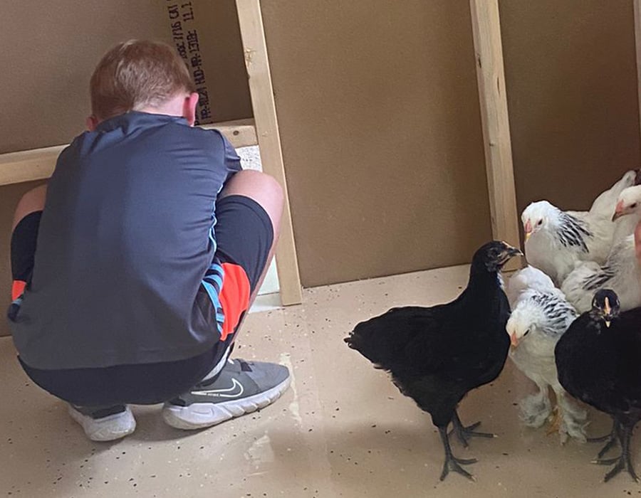 Content_EnclosedCoop_KidsWithChickens