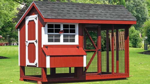Ideas for Building a Chicken Coop