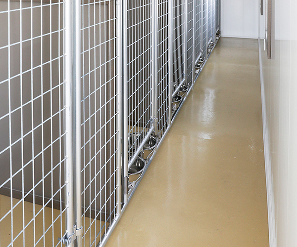 Features_Kennels_Interior