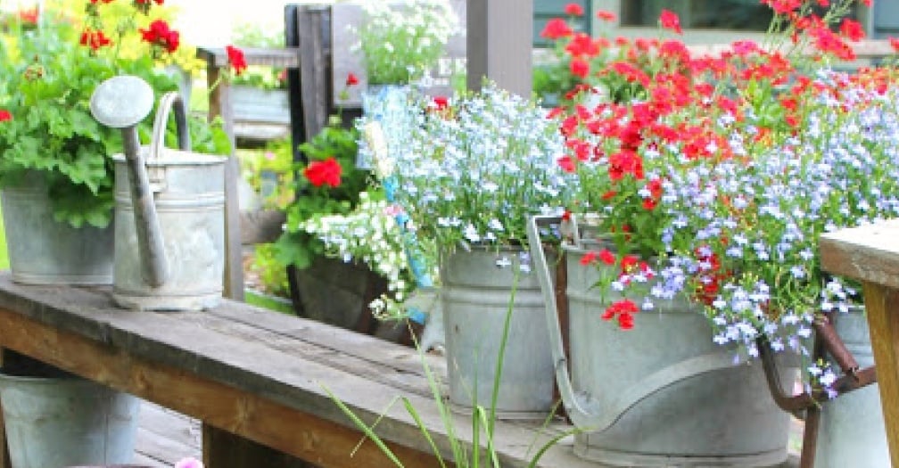 Backyard garden