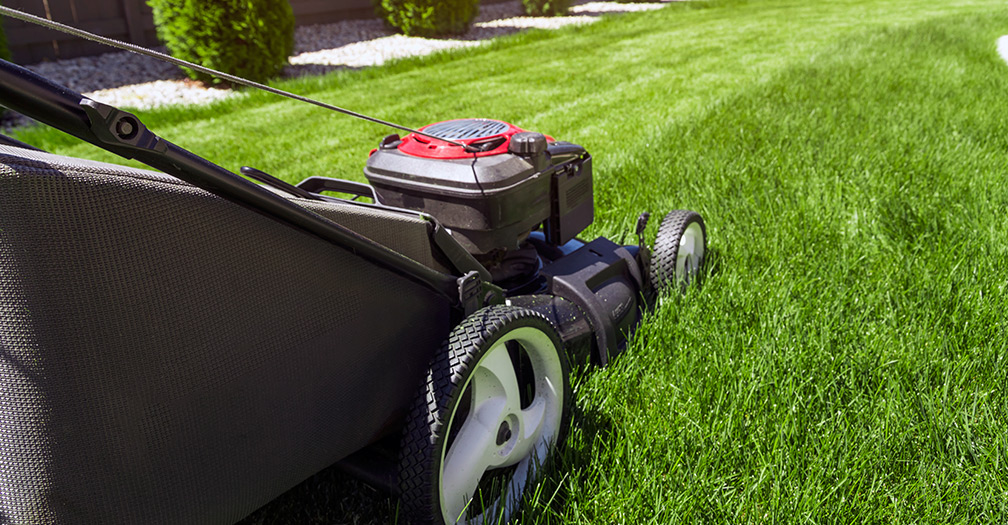 The Best Lawn Mowers: How to Choose the Right One for Your Yard