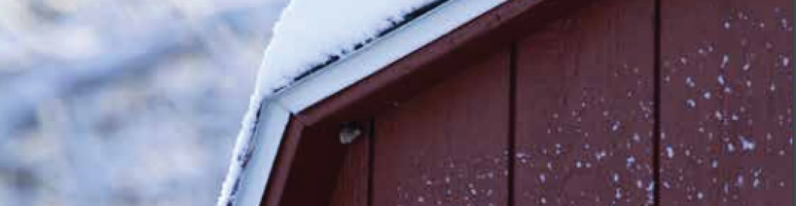 How to Transform Your Storage Building Into A Winter Workshop