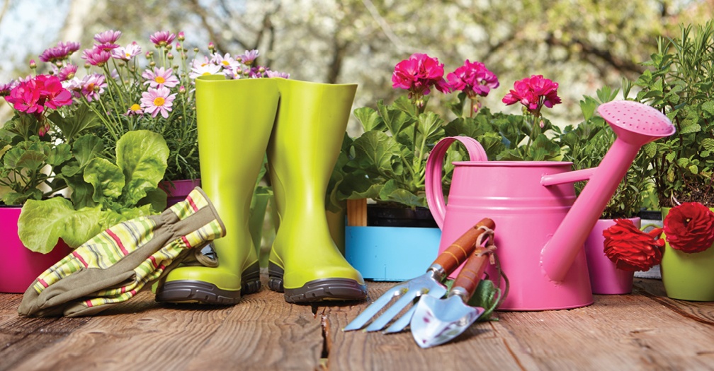 Backyard Garden Shed: The Perfect Gift For Ladies Who Love Gardening